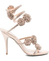Rene Caovilla - Rosalia Floral-Applique Sandals - Lyst