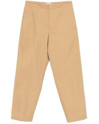 Jil Sander - Cotton Tapered Trousers - Lyst