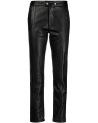 Dames Kleding voor voor Broeken pantalons en chinos voor 7/8 broeken Just Cavalli Synthetisch Broek Met Zebra Jacquard in het Zwart 