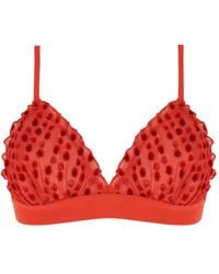 Love Stories - Velvet-Dot Triangle Bra - Lyst