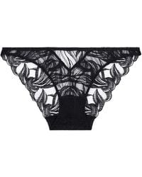 Aubade - Into The Groove Embroidered Briefs - Lyst
