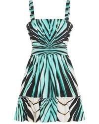 Roberto Cavalli - Zebra-Print Skater Dress - Lyst