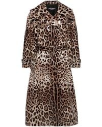 Dolce & Gabbana - Brown Leopard-print Trench Coat - Women's - Polyester/spandex/elastane - Lyst