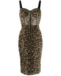Dolce & Gabbana - Leopard-Print Bustier Midi Dress - Lyst