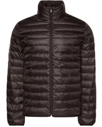 Calvin Klein - Gewatteerd Jack - Lyst