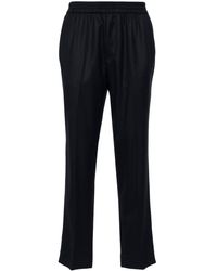 Harmony - Pressed-crease Wool Tapered Trousers - Lyst