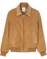 Sandro - Bomberjacke Aus Wildleder - Lyst