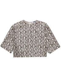 MSGM - Printed Short-Sleeved T-Shirt - Lyst