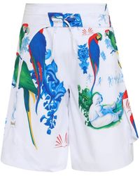 Amir Slama - Parrot-Print Bermuda Shorts - Lyst