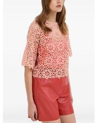 Morgan - Lace Openwork Top - Lyst