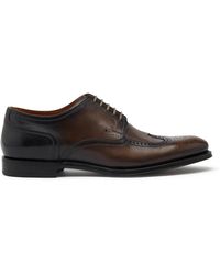 Dolce & Gabbana - Giotto Paint Brogue Derby Shoes - Lyst