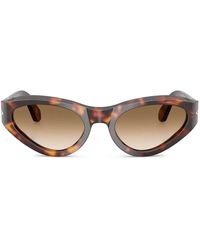 Persol - Cat-Eye Sunglasses - Lyst