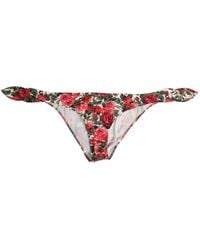 Dolce & Gabbana - Floral-Print Side-Tie Bikini Bottoms - Lyst