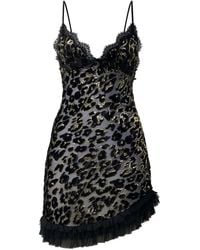 Roberto Cavalli - Mini-Jurk Met Afwerking Van Kant En Luipaardprint - Lyst
