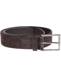Orciani - Suede Belt - Lyst