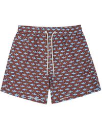 MC2 Saint Barth - Shark-Print Drawstring Swim Shorts - Lyst
