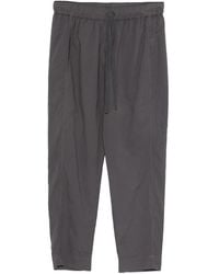 Xirena - Draper Drawstring-Waistband Trousers - Lyst