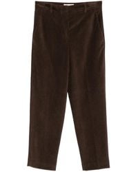 Circolo 1901 - Corduroy Straight-Leg Trousers - Lyst