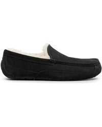 UGG - Ascot Sneakers Mit Schnürung - Lyst