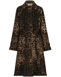 Dolce & Gabbana - Leopard-Print Belted Single-Breasted Coat - Lyst