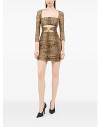 Roberto Cavalli - Cut-Out Animal-Print Mini Dress - Lyst