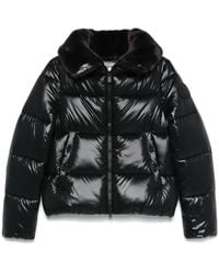 Save The Duck - パデッドジャケット - Lyst