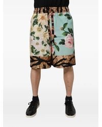 Dolce & Gabbana - Floral Animal-Print Shorts - Lyst