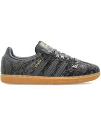 adidas - Snakeskin Samba Sneakers - Lyst