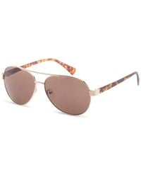 Calvin Klein - Getönte Pilotenbrille - Lyst