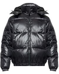 Lacoste - Gewatteerd Jack Met Capuchon - Lyst