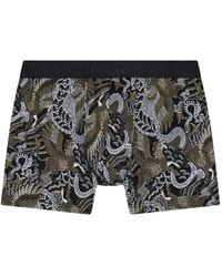 Aubade - Hippogriffe-Print Boxer Briefs - Lyst