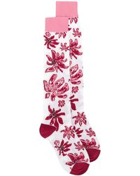 Marni Calcetines de punto con motivo floral - Rosa