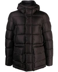 Save The Duck - Quilted Hooded Padded Jacket - Lyst