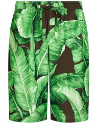 Dolce & Gabbana - Banana Leaf-print Bermuda Shorts - Lyst