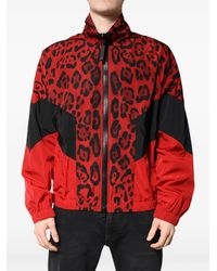 Dolce & Gabbana - Chaqueta Bómber Con Estampado De Leopardo - Lyst