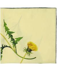 Burberry - Dandelion Floral-print Scarf - Lyst