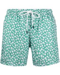 Fedeli Zwembroek Met Print in het Groen voor heren en zwemshorts Heren Kleding voor voor Strandkleding voor Board 