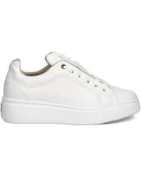 Max Mara - Logo-Plaque Leather Sneakers - Lyst