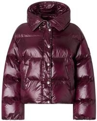Pinko - Cropped Padded Jacket With Glossy Finish And Wide Collar - Lyst