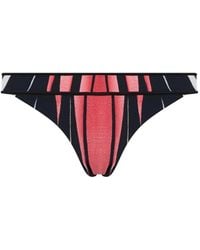 Roberto Cavalli - Ray Of Paradise Graphic-Print Bikini Bottoms - Lyst
