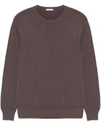 Malo - Pullover mit rundem Ausschnitt - Lyst