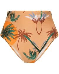 Raquel Diniz - Palm-tree-print Bikini Bottom - Lyst
