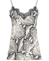 Roberto Cavalli - Snake-Print Lace-Trimmed Top - Lyst