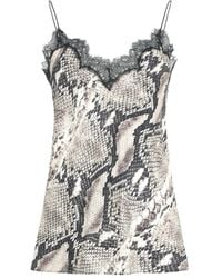 Roberto Cavalli - Snake-Print Lace-Trimmed Top - Lyst