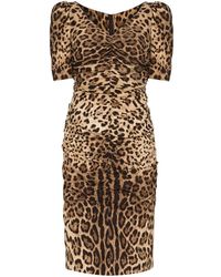 Dolce & Gabbana Jurk Met Luipaardprint - Bruin