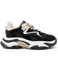 Ash - Sneakers - Lyst