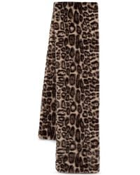Joseph Ribkoff - Leopard-Print Scarf - Lyst