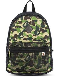 bape zaini