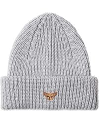 PELO FOUNDATION - Chihuahua Beanie Hat - Lyst