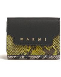 Marni - Portemonnee Met Pythonprint - Lyst